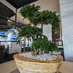 Ibis Budget Centre Rive Gauche - Opening September 2020 2*
