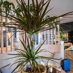Hotel Ibis Budget Centre Rive Gauche - Opening September 2020 Rouen