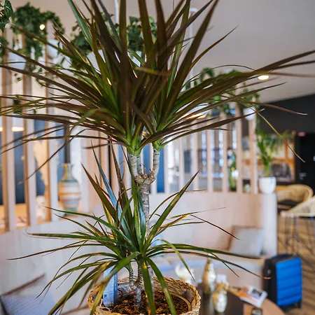 Отель Ibis Budget Centre Rive Gauche Руан