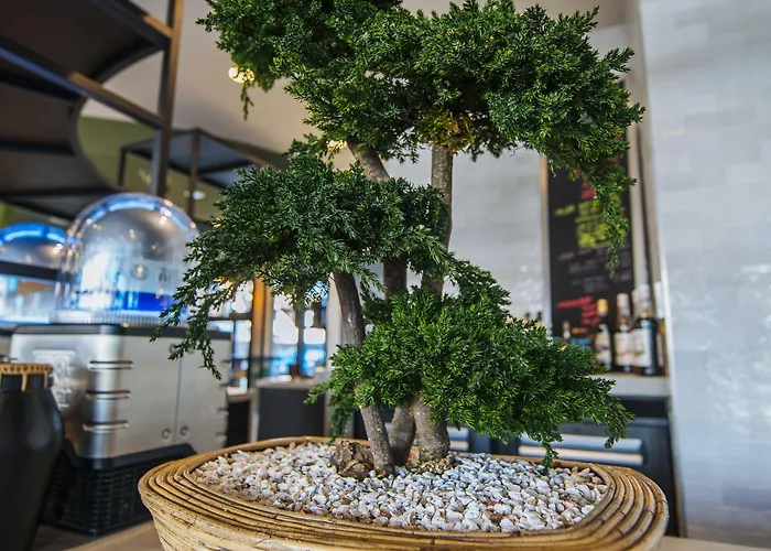 Ibis Budget Centre Rive Gauche - Opening September 2020 2*