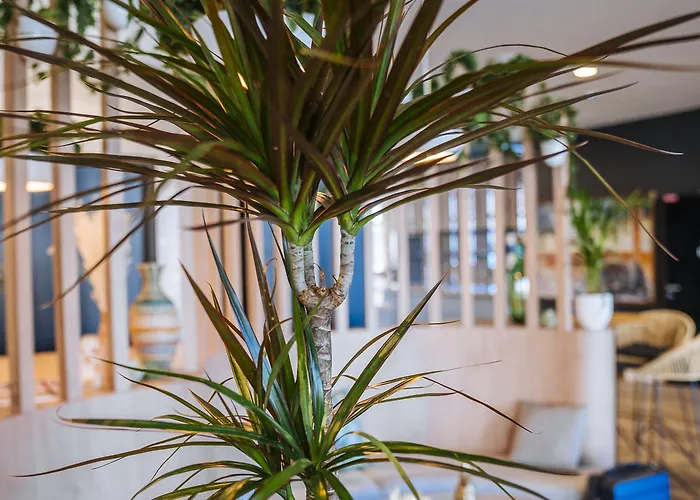 Hotel Ibis Budget Centre Rive Gauche - Opening September 2020 Rouen